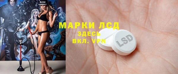 крисы Ростов