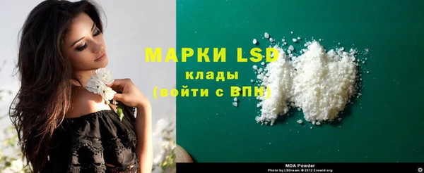 крисы Ростов