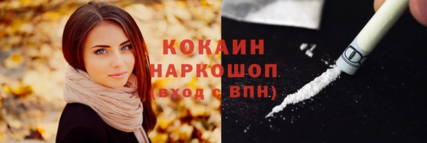 крисы Ростов