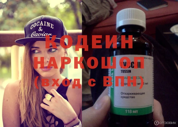 крисы Ростов