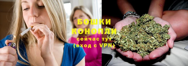 крисы Ростов